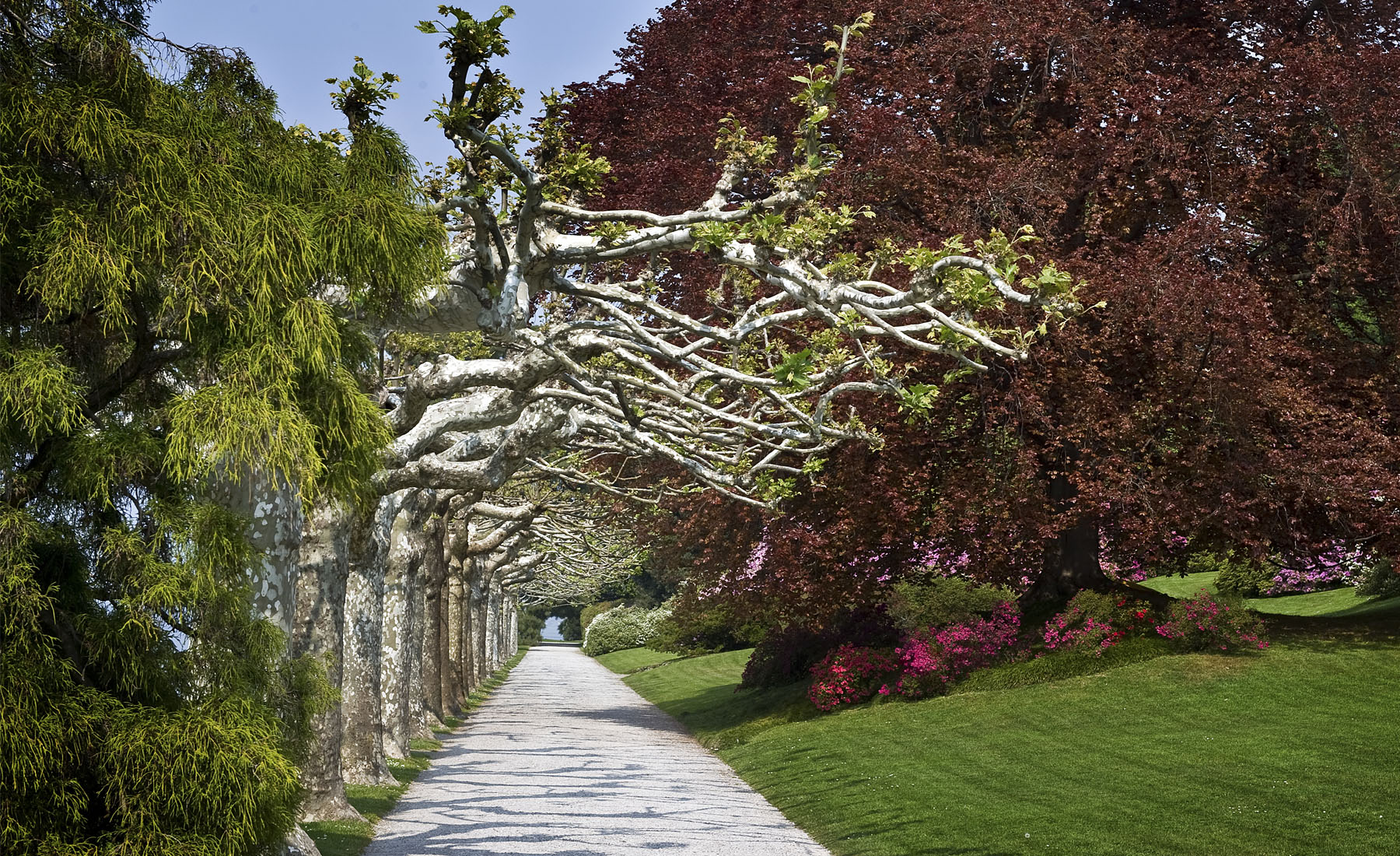 Photo I Giardini di Villa Melzi