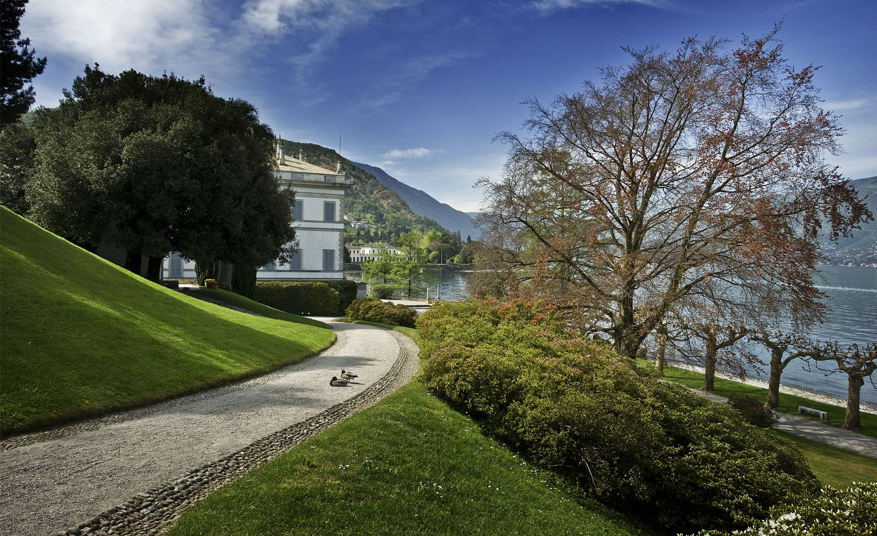 Photo I Giardini di Villa Melzi